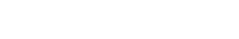 The Synthesis Institute