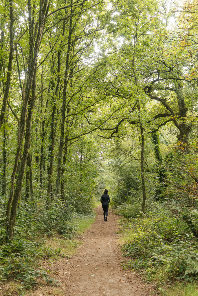 The programs featured image